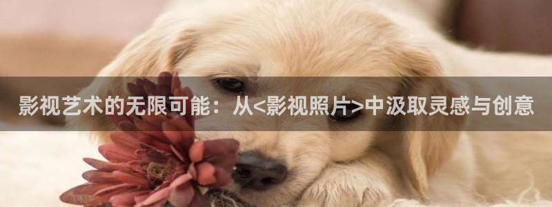 奇米在线精品视频