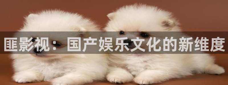 奇米在线精品观看