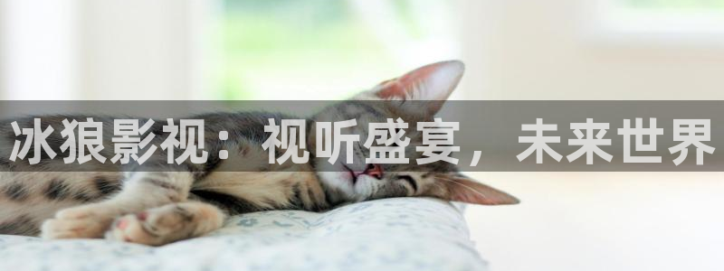 第四色奇米在线观看
