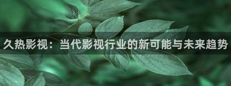 奇米在线视频二区